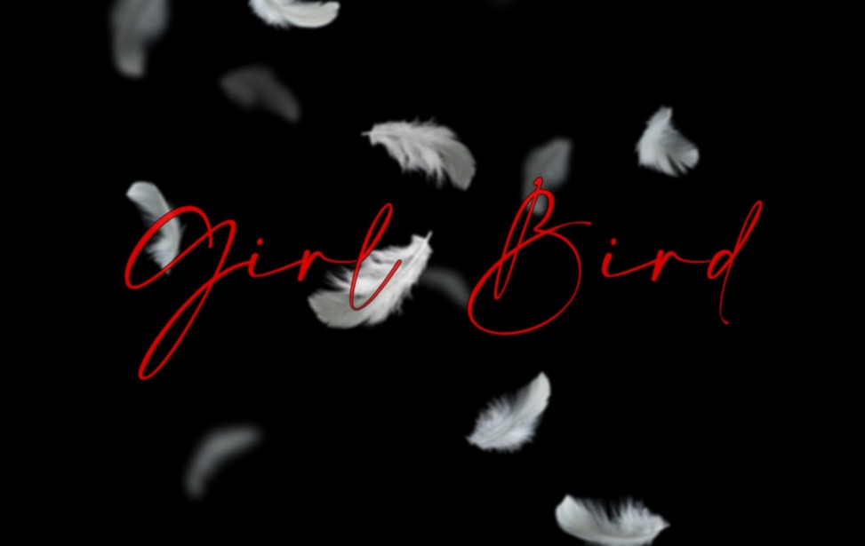 girl bird plume flou.jpg