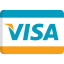 logo visa