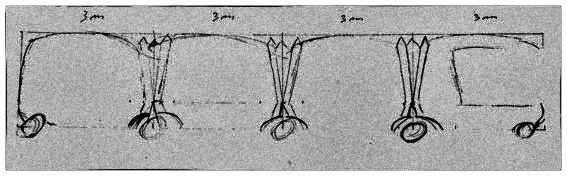 Croquis de l'Orgoptère