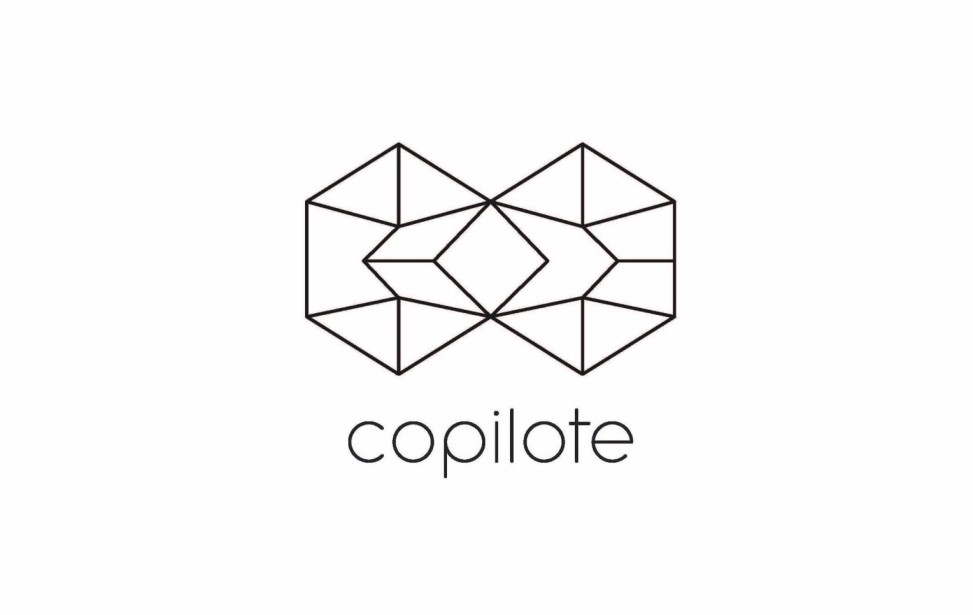 Logo_Copilote_CUT_bonsens.jpg