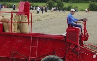 cropped-k3g1913.jpg