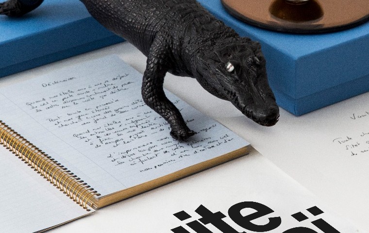 Crocodile 1 - Serge Nicolas et Ruben Malem @Work Division.jpg