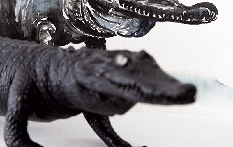 Crocogif.gif