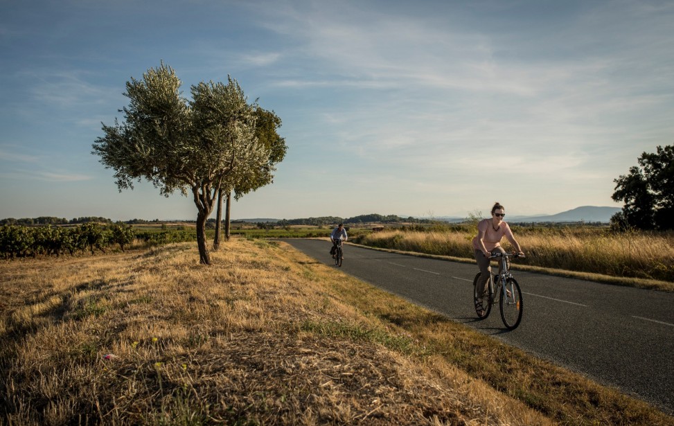 Tournée vélo Fanfare-59.jpg