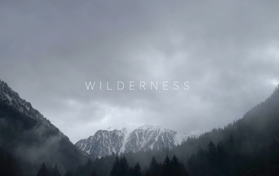 Wilderness - FOG.jpg