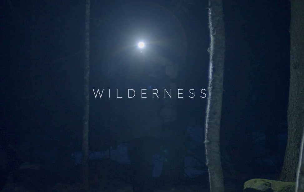 Wilderness - night light.jpg