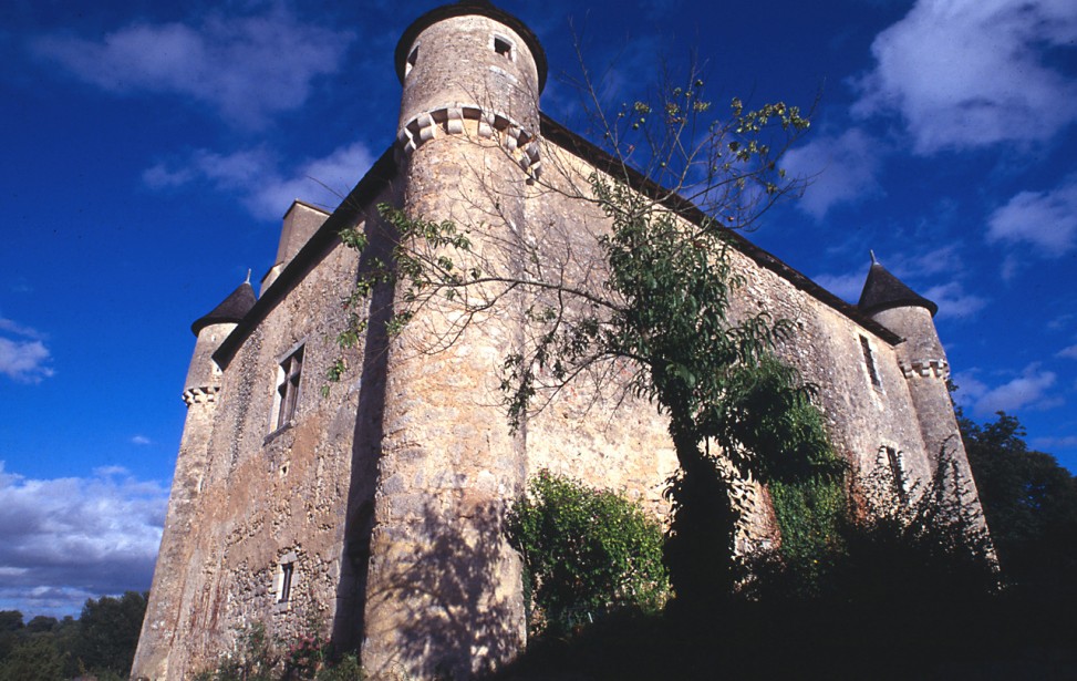 Château de Pruniers.png