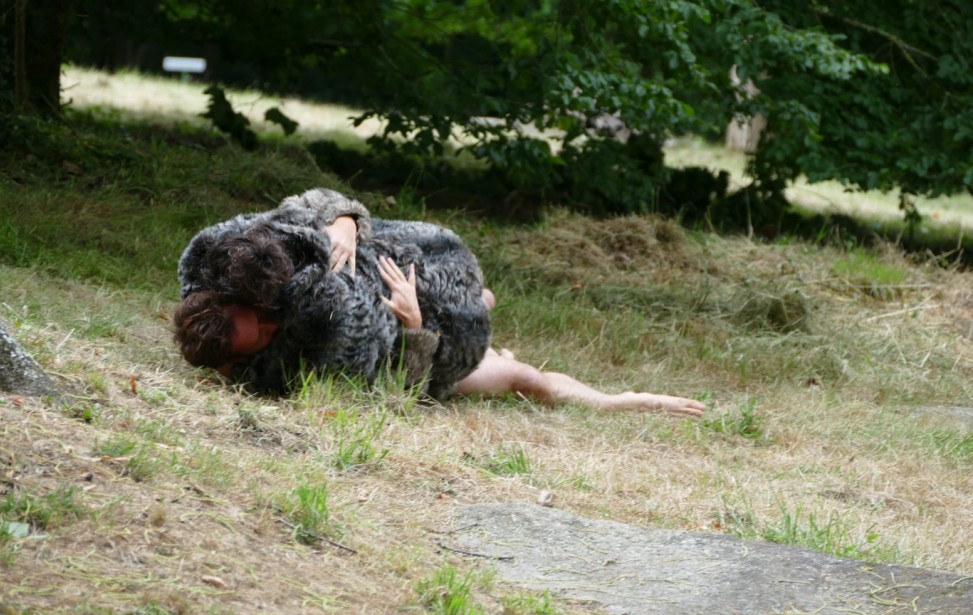 Transhumance3© S. Teulier : La Garenne Lemot - Grand Patrimoine de Loire-Atlantique  - copie.JPG