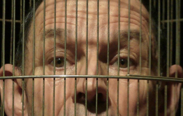 Tete en cage.jpg