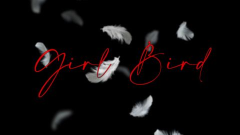 girl bird plume flou.jpg