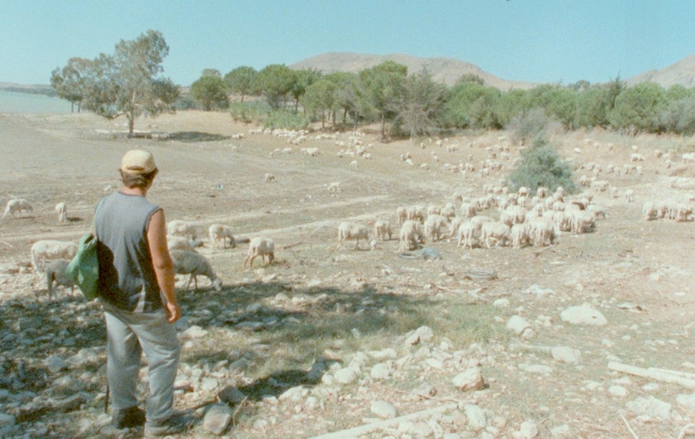 image de La Fin de l'Été berger.jpg