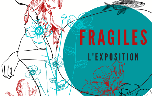 logo fragiles.png