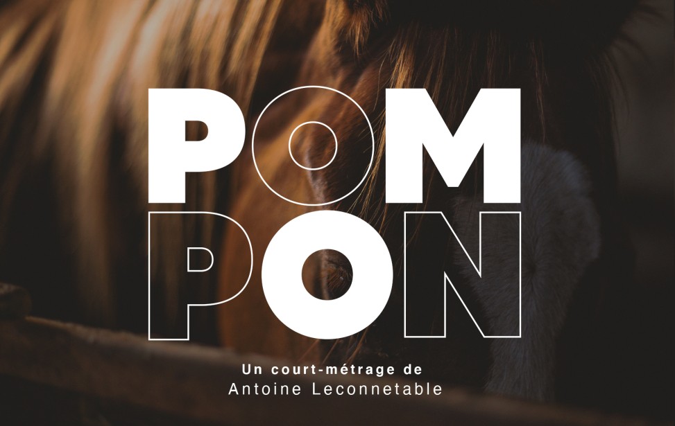 COVER POMPON.jpg