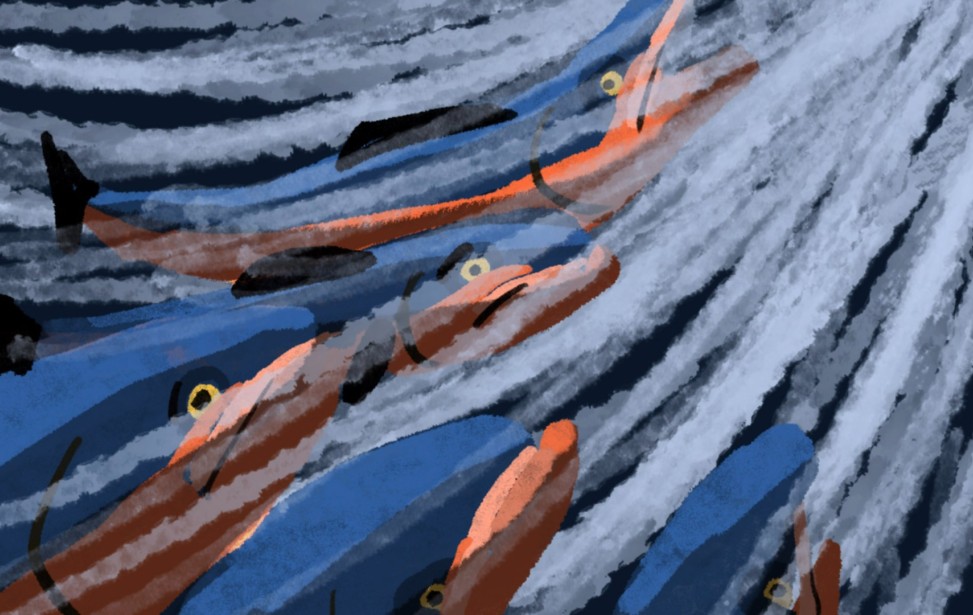 13.jpeg