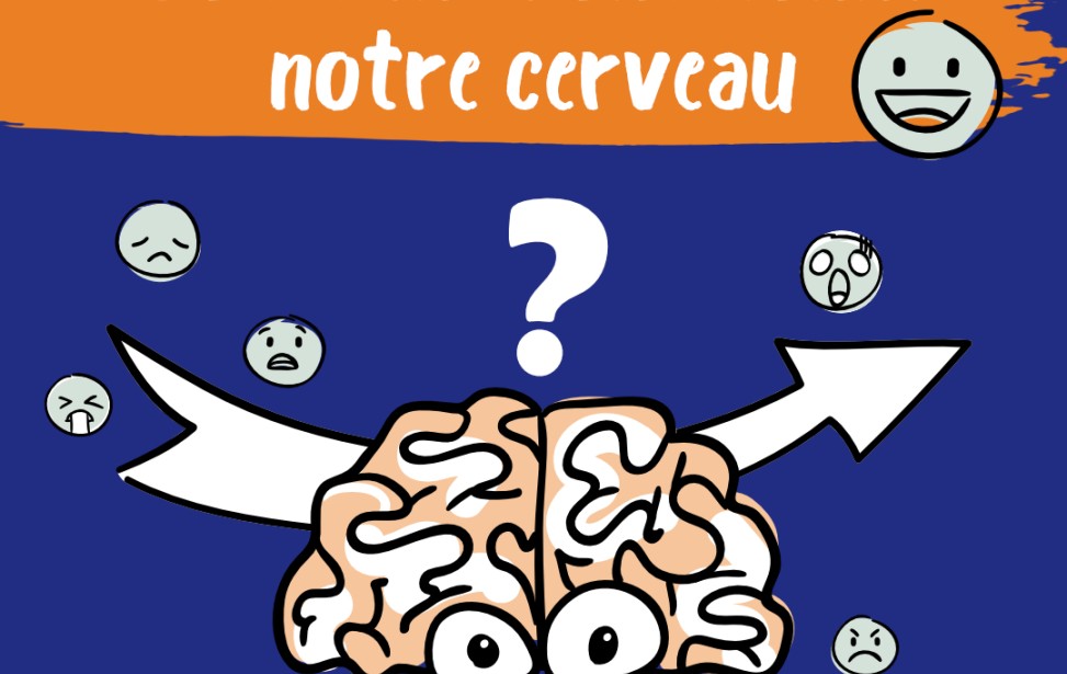 comment_fonctionne_notre_cerveau_1.jpg