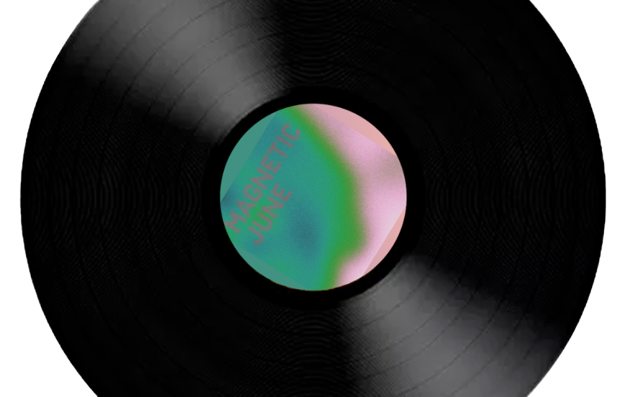 vinyl-removebg-preview.png