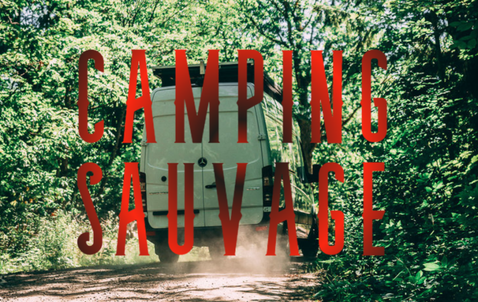 camping sauvage v3.png