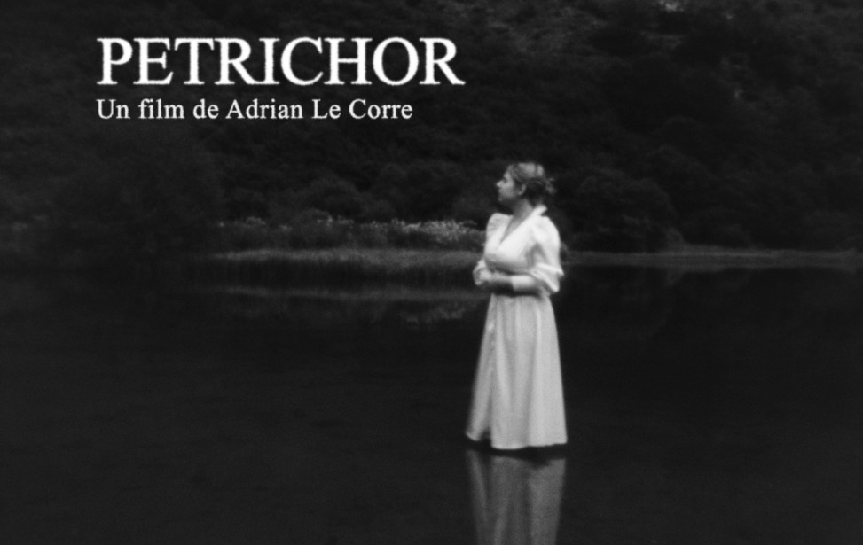 petrichor_proarti 2.jpg