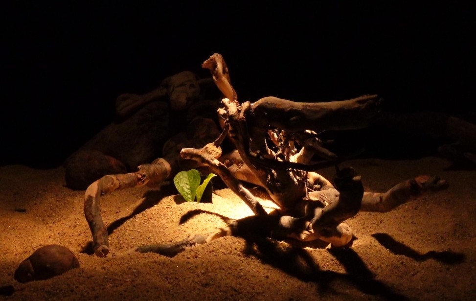 photo 11.jpg