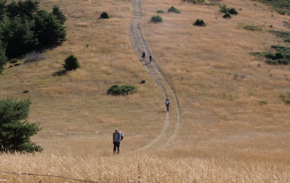 couverture thorame.jpg