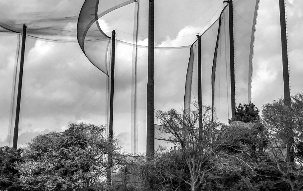 img_7083bttirage(pleinformat).jpg img_7083bttirage(pleinformat).jpg