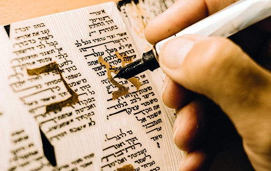 image shot-88+ copie.jpg