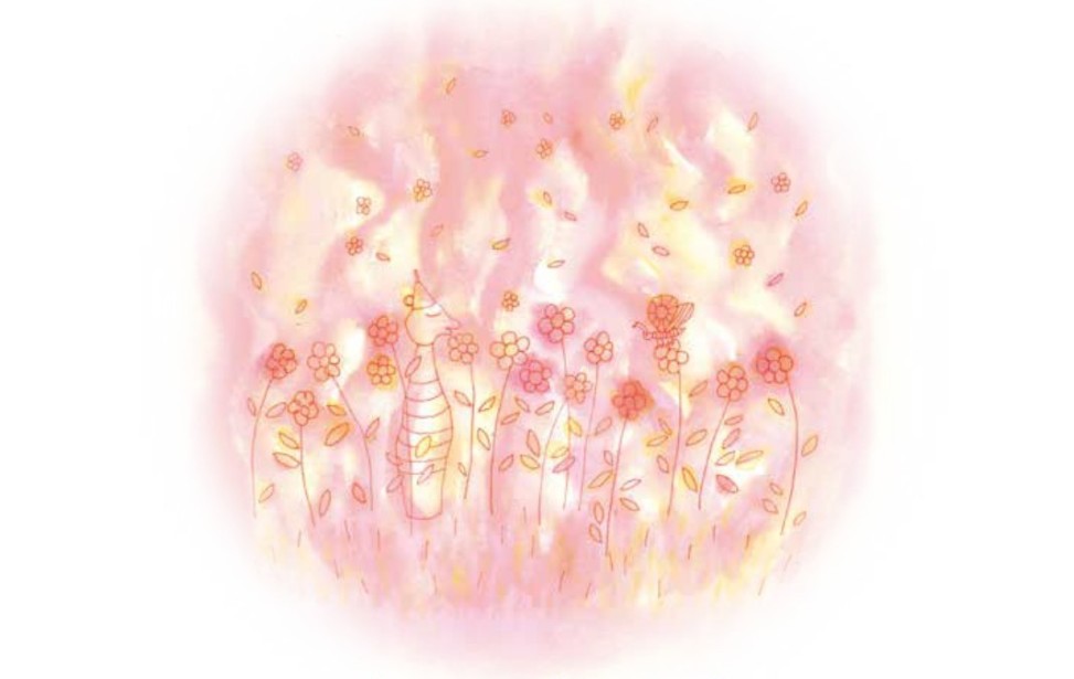 livre a5_22-09-5_page-0001.jpg