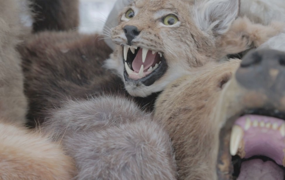 capture d’écran 2025-11-21 à 21.27.38.jpg