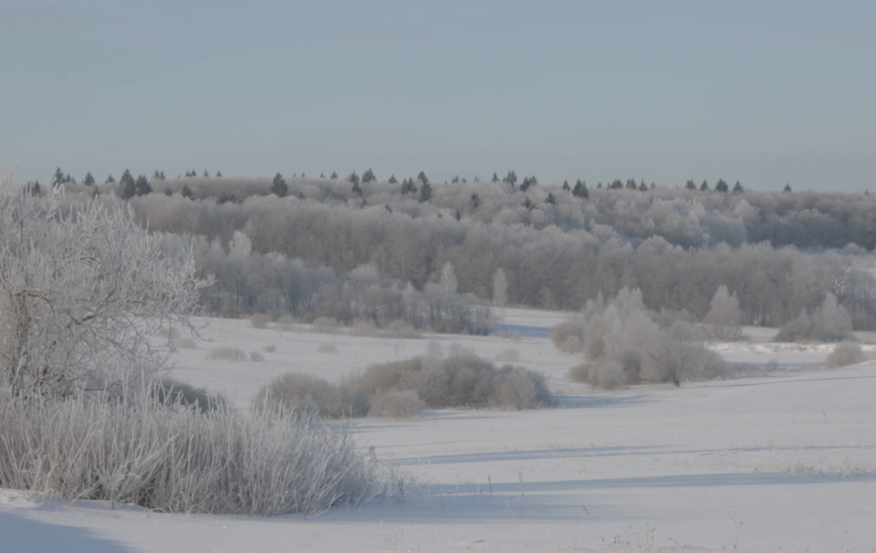 capture d’écran 2025-11-21 à 21.29.36.png