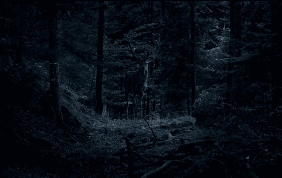 capture d’écran 2025-12-11 à 22.22.19.png