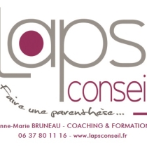 Logo AM Bruneau LAPS CONSEIL.jpg