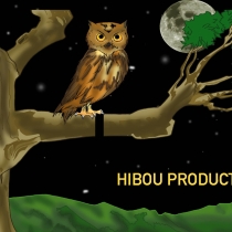 LOGO HIBOU 2020.jpg