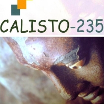 LogoCalisto235Def.JPG