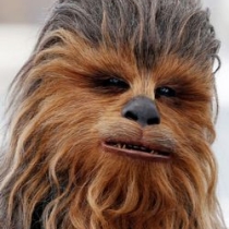 chewbacca-250.jpg