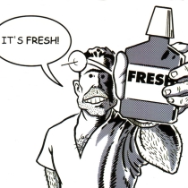 it_sfresh! petit.jpeg