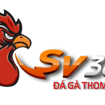 logosv388-3.png