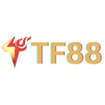 tf88(1).jpg