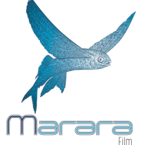 marara film bleu pt.png