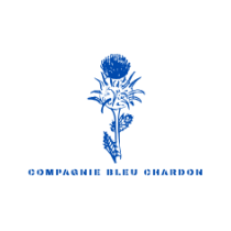 logo cie (5 x 2 cm)-3.png