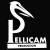 logo pellicam3.jpg