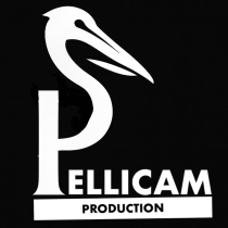 logo pellicam3.jpg