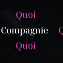  logo compagnie quoi.png